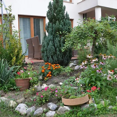 Farah Superior Apartment *